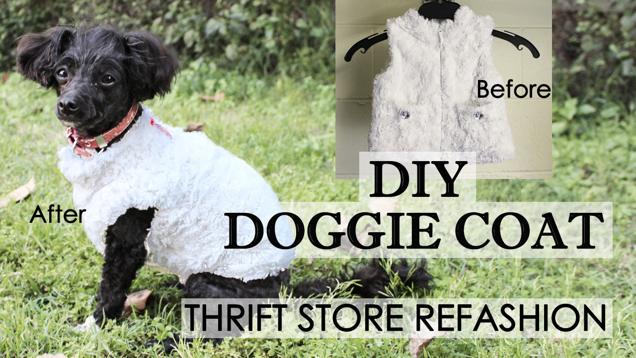 Diy Dog Clothes From Baby Clothes
 EASY DIY Dog Coat Refashion making cute dog clothes from