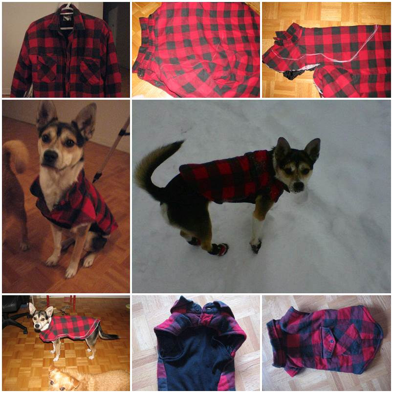 Diy Dog Clothes From Baby Clothes
 DIY Easy Dog Fleece Jacket