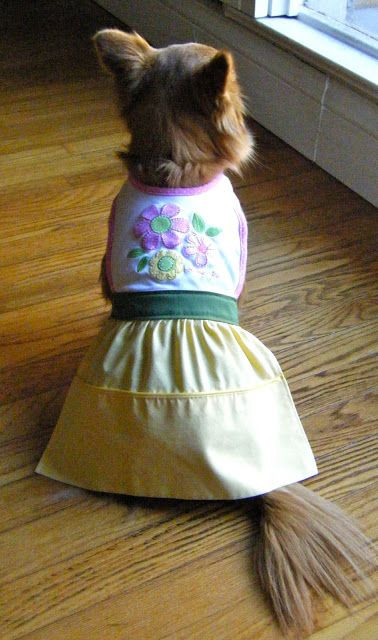 Diy Dog Clothes From Baby Clothes
 112 of the best Free Dog Clothes Patterns & Tutorials on