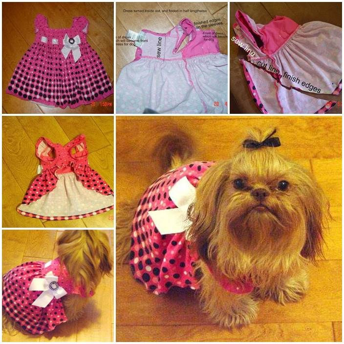 Diy Dog Clothes From Baby Clothes
 DIY Dog Dress from Baby Dress LovePetsDIY