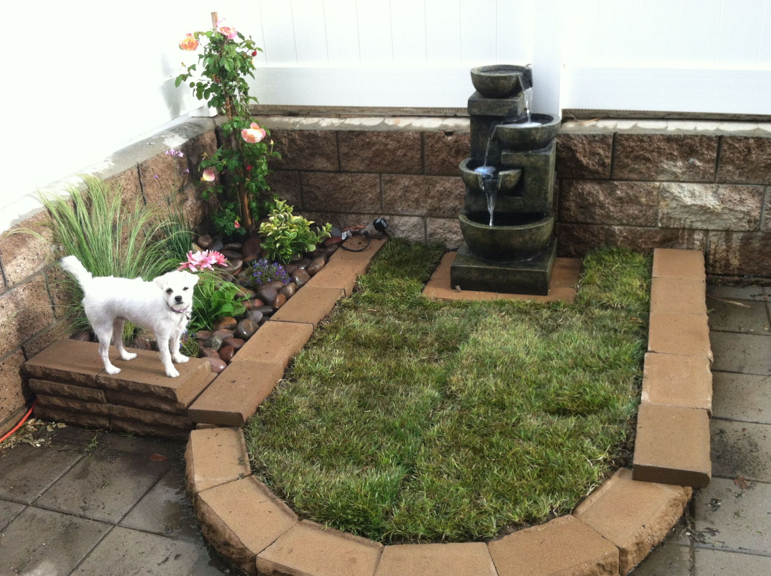 DIY Dog Potty Patch
 Doggie potty patch and planter