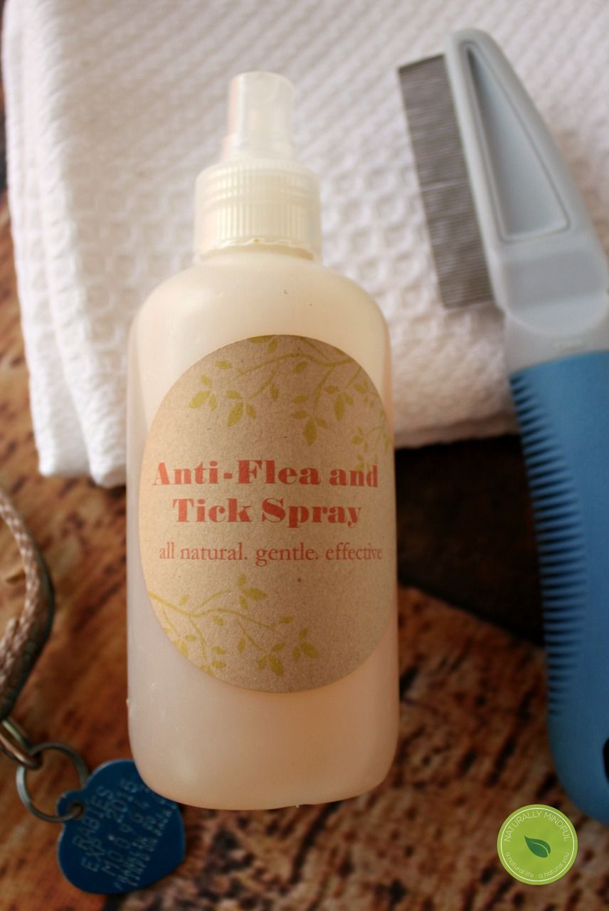 DIY Dog Spray
 DIY Natural Flea and Tick Spray for Dogs