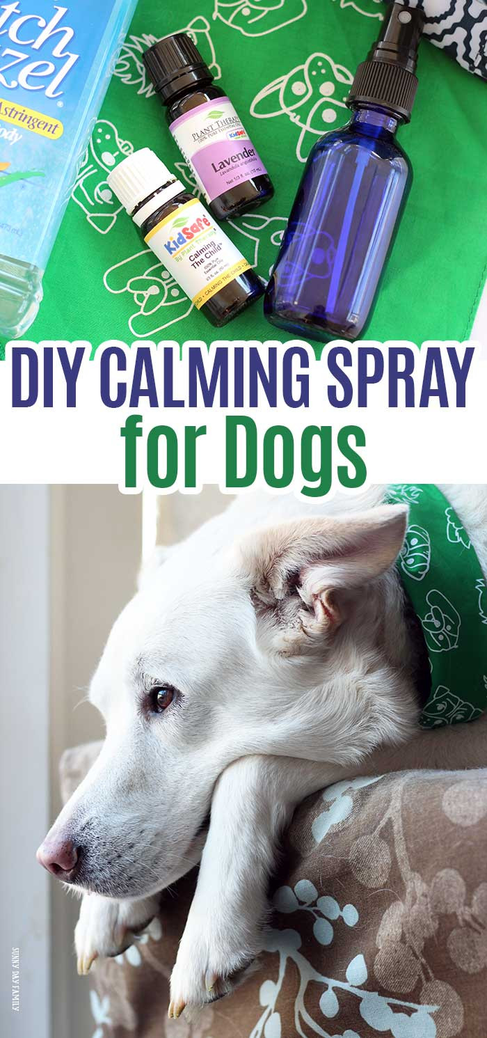 DIY Dog Spray
 DIY Dog Calming Spray with Free Printable Bottle Labels