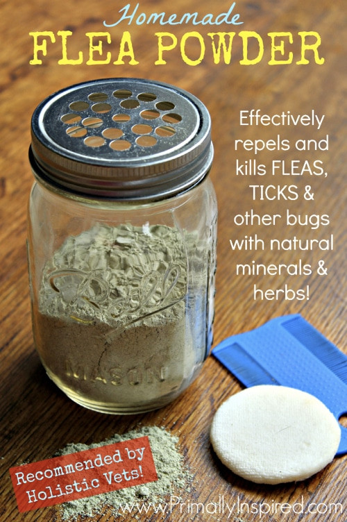 DIY Flea Treatment For Dogs
 Homemade Flea Powder For Dogs Homestead & Survival