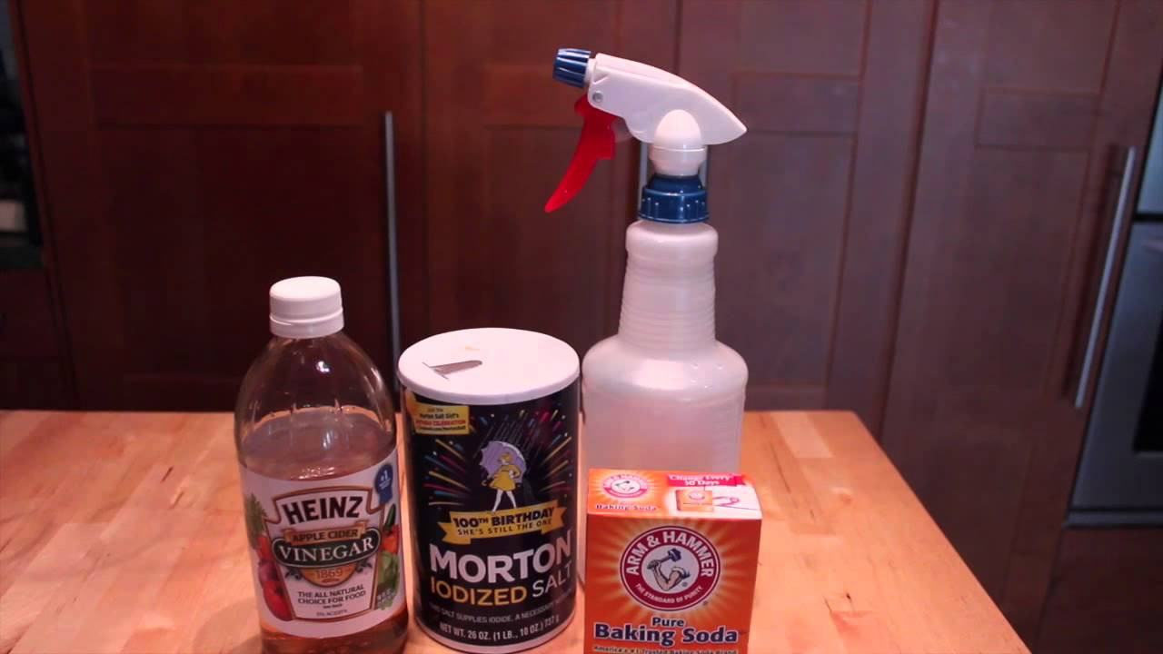 DIY Flea Treatment For Dogs
 homemade flea prevention