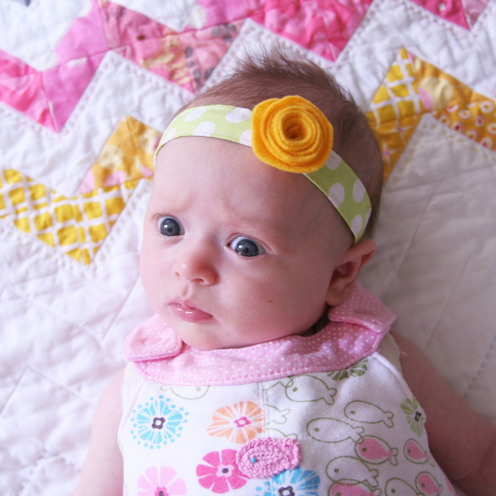 Diy Headband Baby
 DIY Baby Headband Homemade Ginger