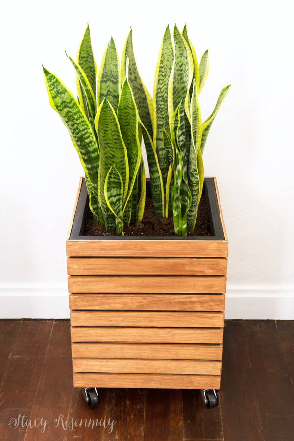 DIY Indoor Planter Box
 DIY Modern Planter Box Stacy Risenmay