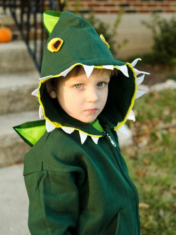 Diy Kids Costume
 22 DIY Halloween Costumes For Kids Adults And Even Pets