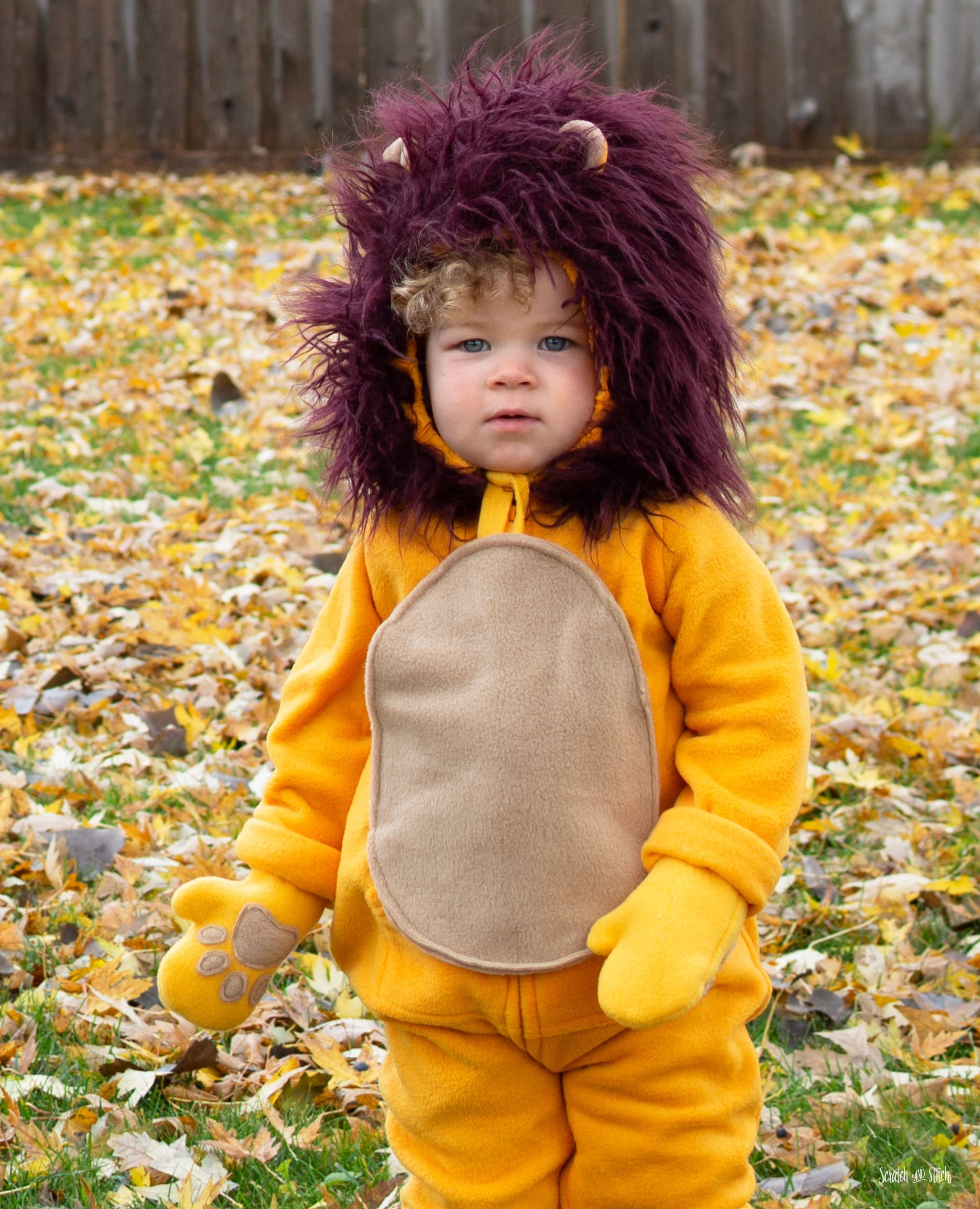 DIY Kids Lion Costume
 DIY Lion Costume for Babies Kids or Adults
