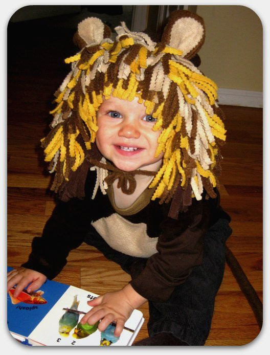 DIY Kids Lion Costume
 TryItMom Super Easy DIY Baby Lion Costume