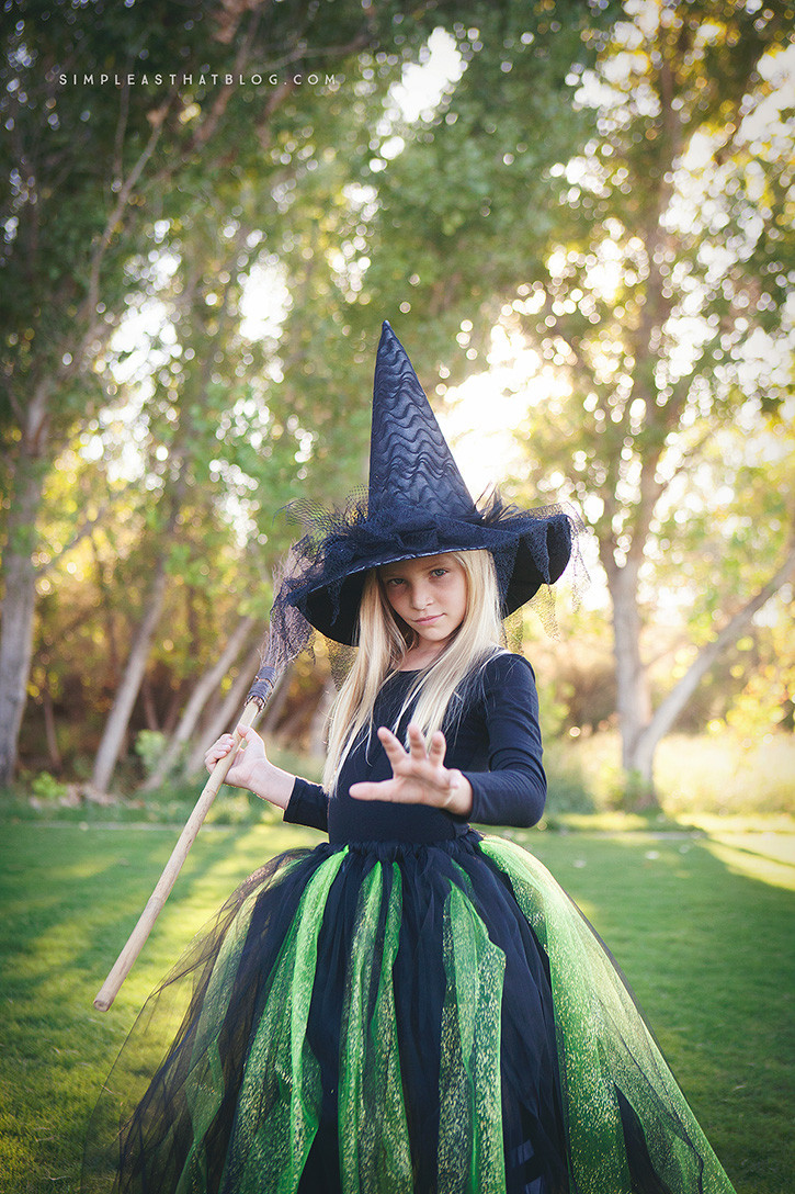 Diy Kids Witch Costume
 DIY Glinda and Wicked Witch of the West Halloween Costumes