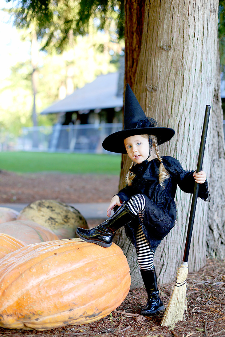 Diy Kids Witch Costume
 Free Witch Hat Pattern DIY Witch Costume Sew Much Ado