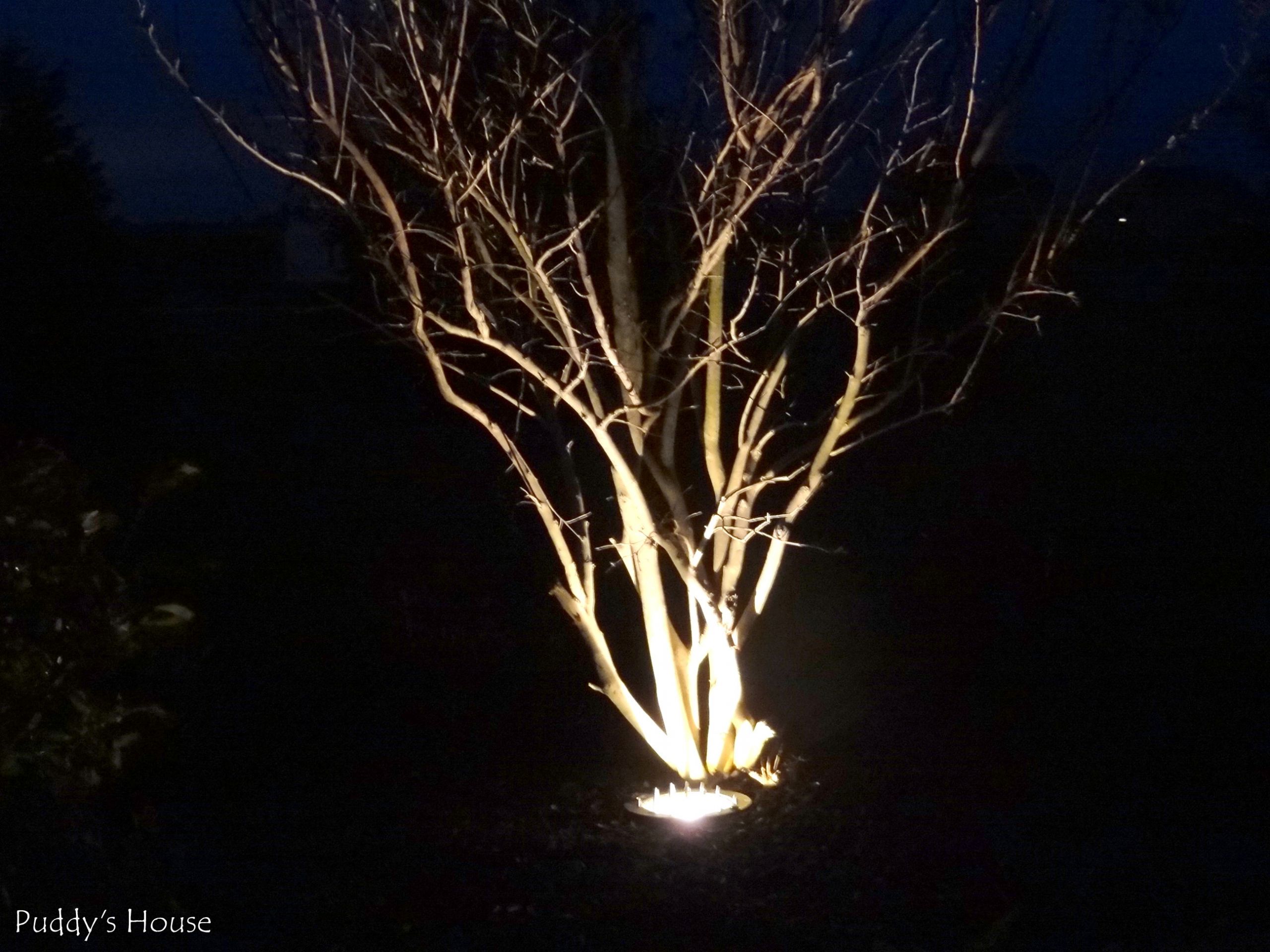 Diy Landscape Lighting
 diy landscape lighting