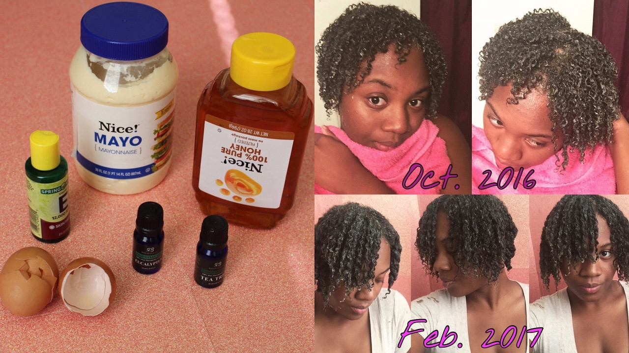 DIY Protein Treatment For Hair
 Protein Treatment for Natural Hair 4c Hair DIY