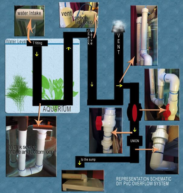 DIY Pvc Overflow Plans
 My Journal to DIY PVC Overflow for non drilled tank to