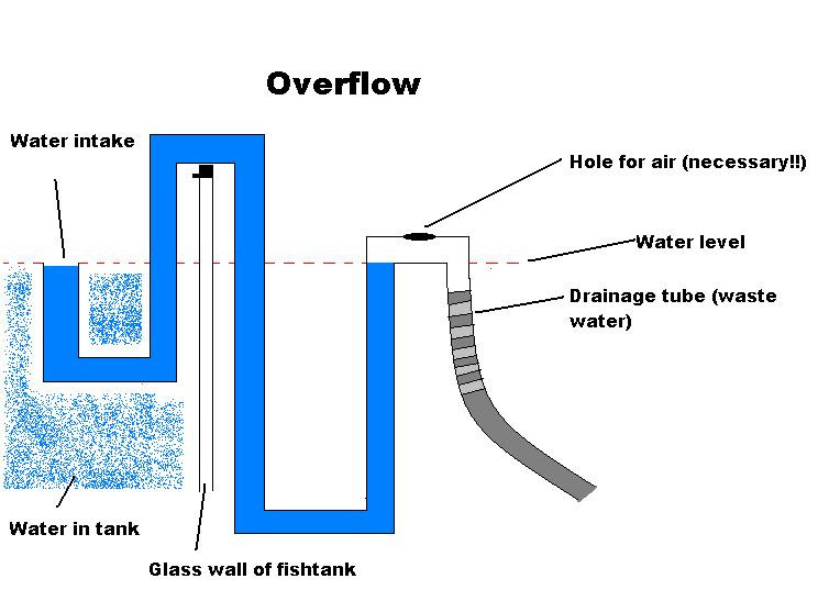 DIY Pvc Overflow Plans
 Automatic water change system design DIY DIY Aquarium