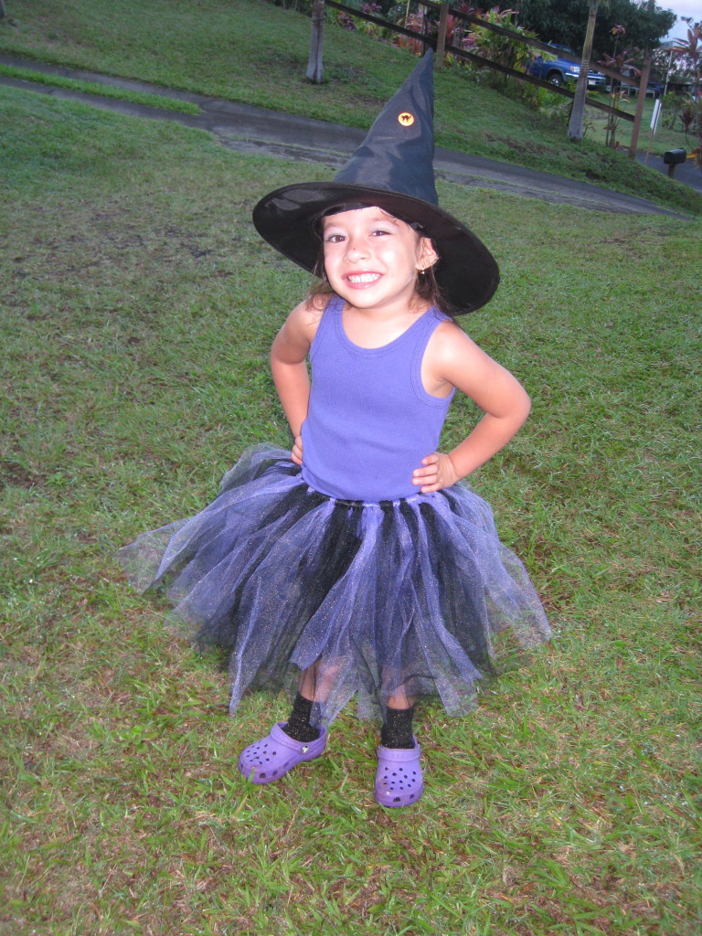 DIY Witch Costume
 25 DIY Halloween Costumes
