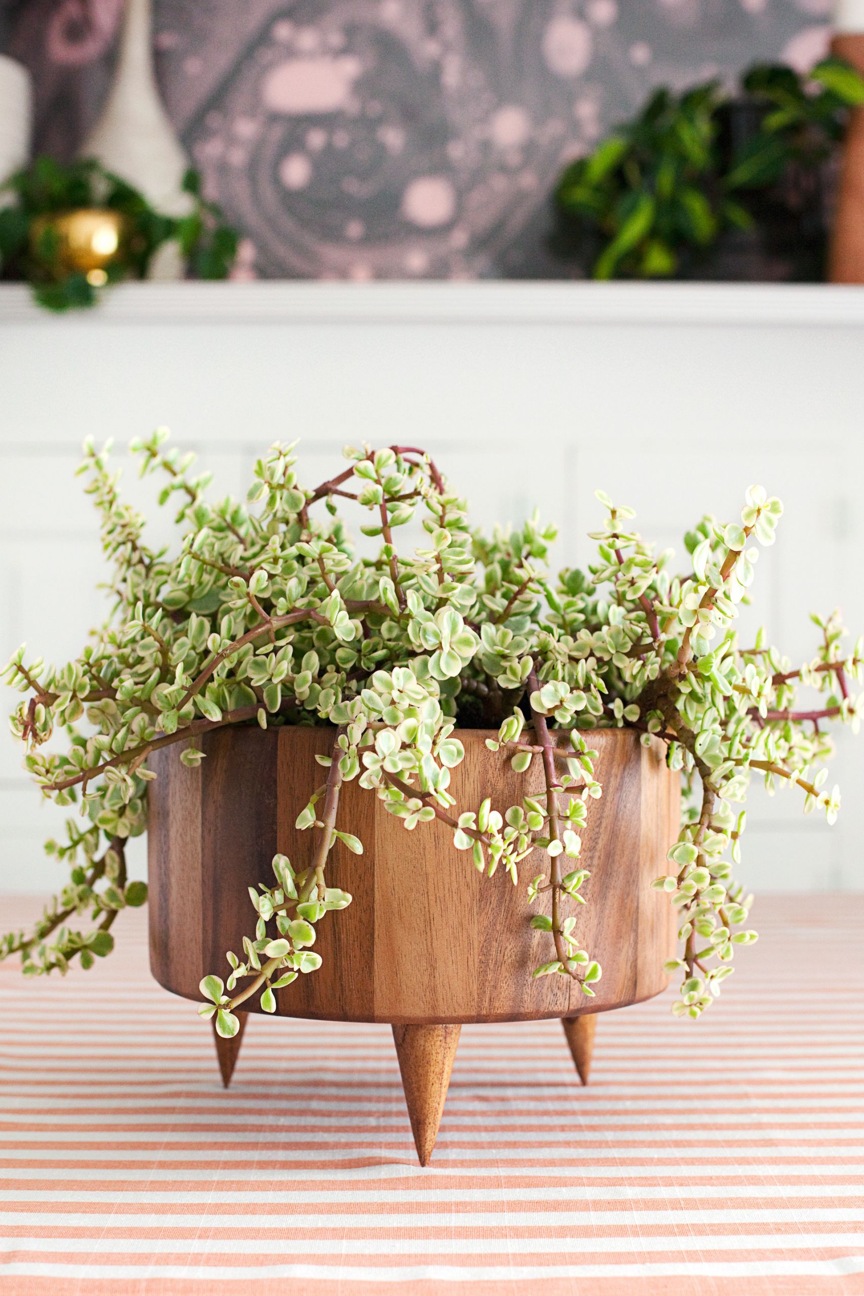 DIY Wooden Planter
 DIY Wooden Planter A Beautiful Mess