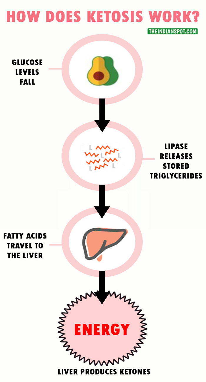 Does The Keto Diet Work
 KETOGENIC DIET TO LOSE WEIGHT ALL YOU WANT TO KNOW THE