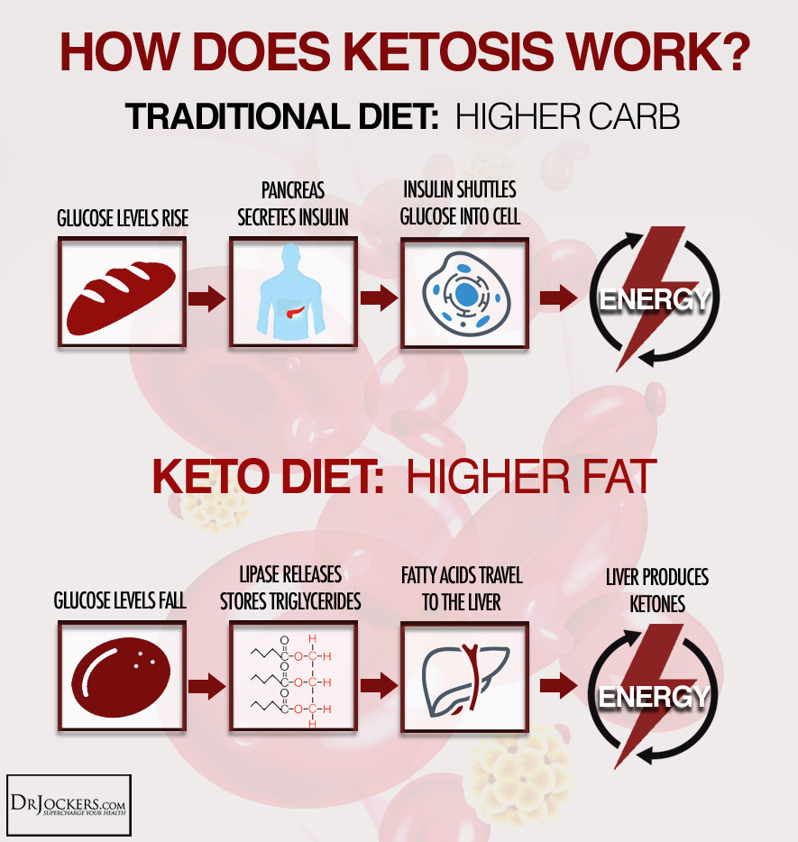 Does The Keto Diet Work
 10 Critical Ketogenic Diet Tips For Best Results