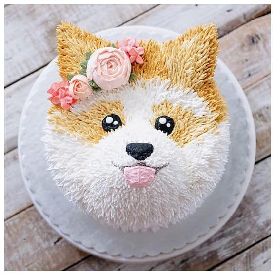 Dog Birthday Cakes
 Dog Cake Ideas For Birthdays Pinterest Best Video Tutorial