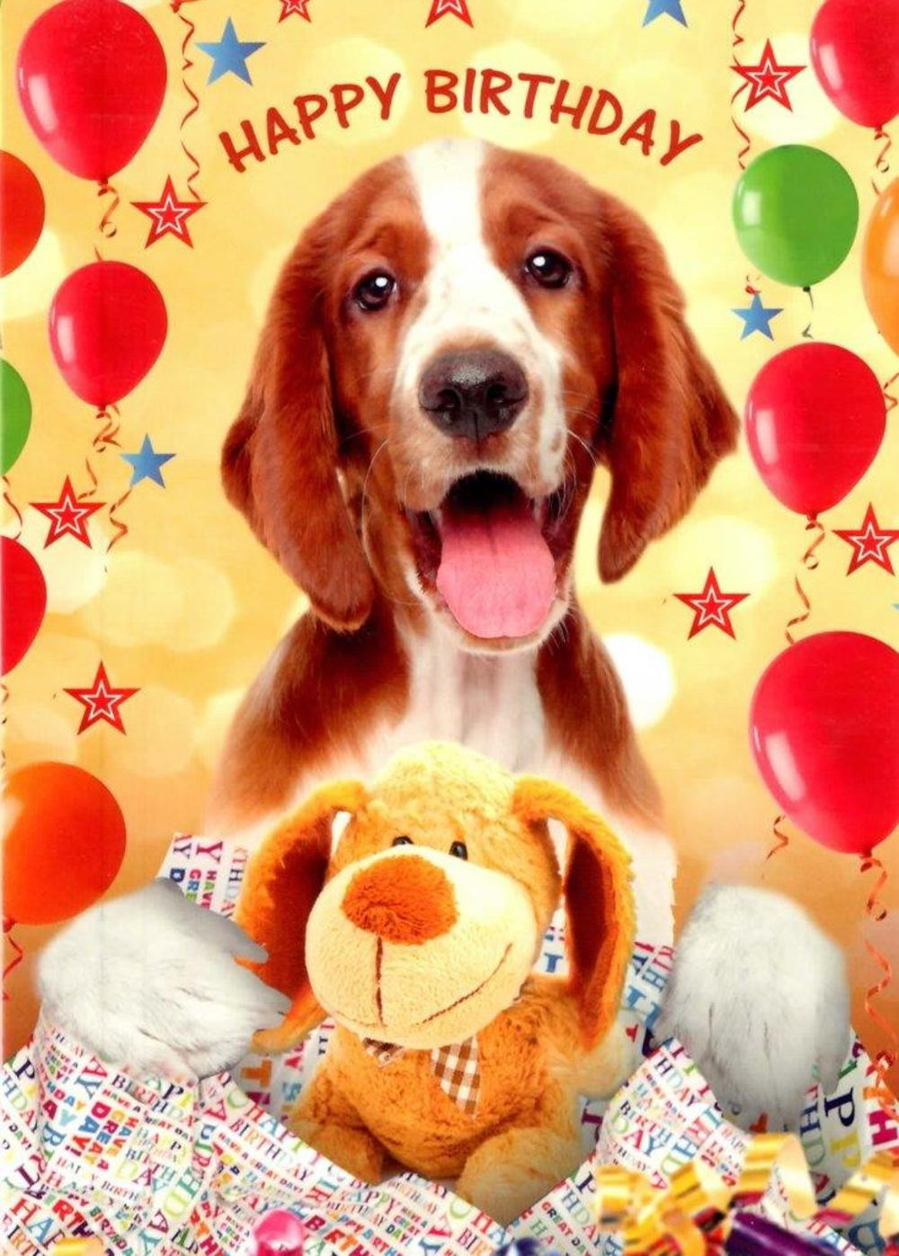 Dog Birthday Cards
 Cute Dog Happy Birthday Greeting Card