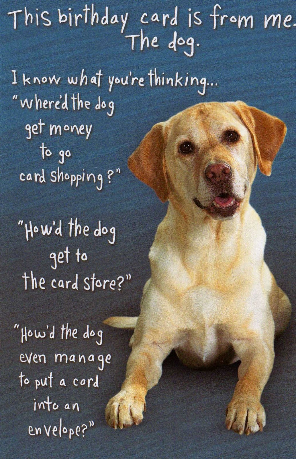 Dog Birthday Cards
 Quotes about Dogs birthday 22 quotes