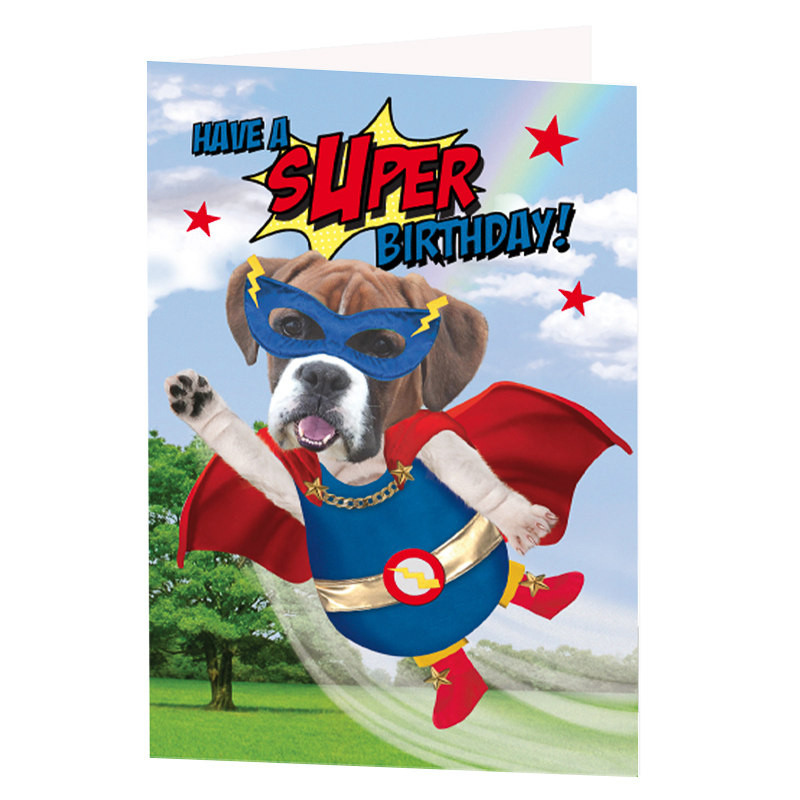 Dog Birthday Cards
 Super Dog Birthday Card Greeting Cards