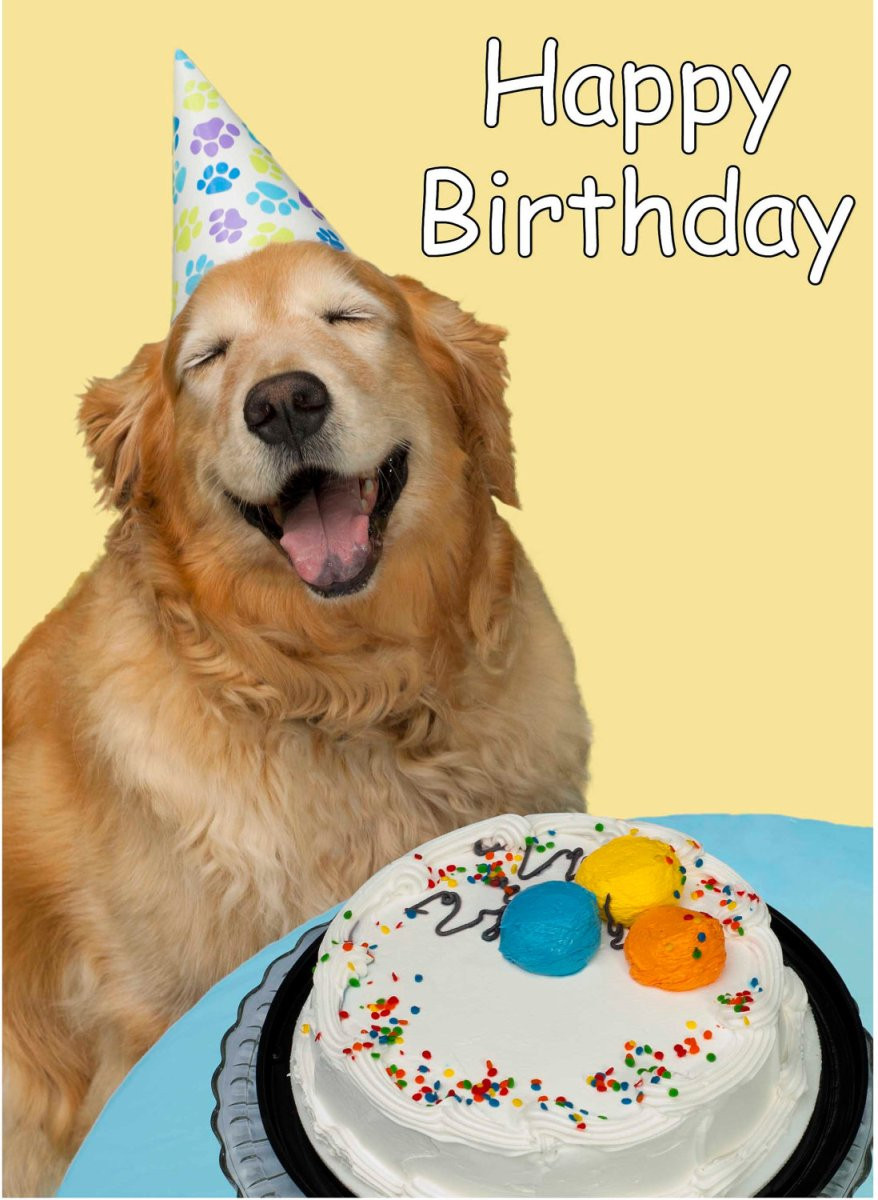 Dog Birthday Cards
 Birthday Wishes With Puppies