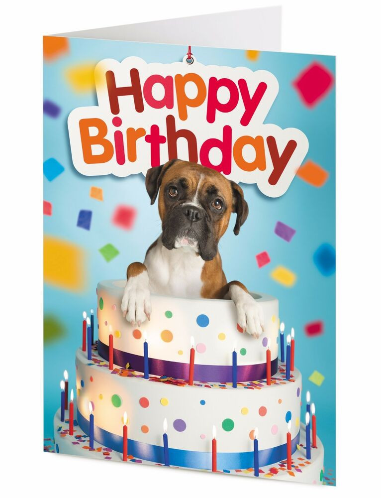 Dog Birthday Cards
 Boxer dog inside a giant birthday cake birthday card