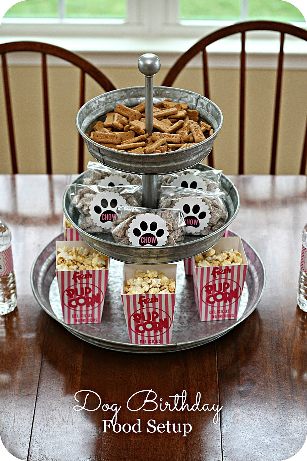 Dog Birthday Party
 Keeping My Cents ¢¢¢ Dog Birthday Party Ideas