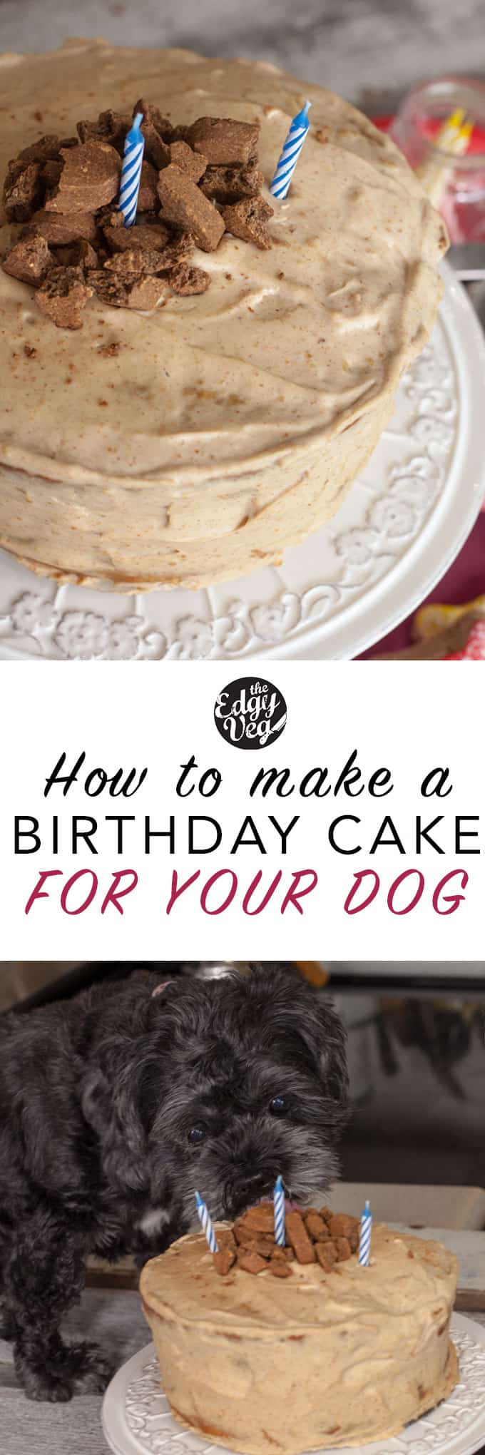 Dog Friendly Birthday Cake
 Dog Friendly Birthday Cake