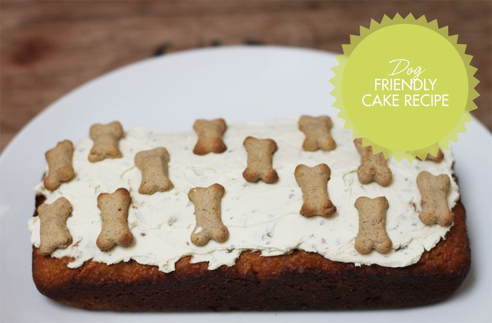 Dog Friendly Birthday Cake
 Dog friendly cake dog birthday cake