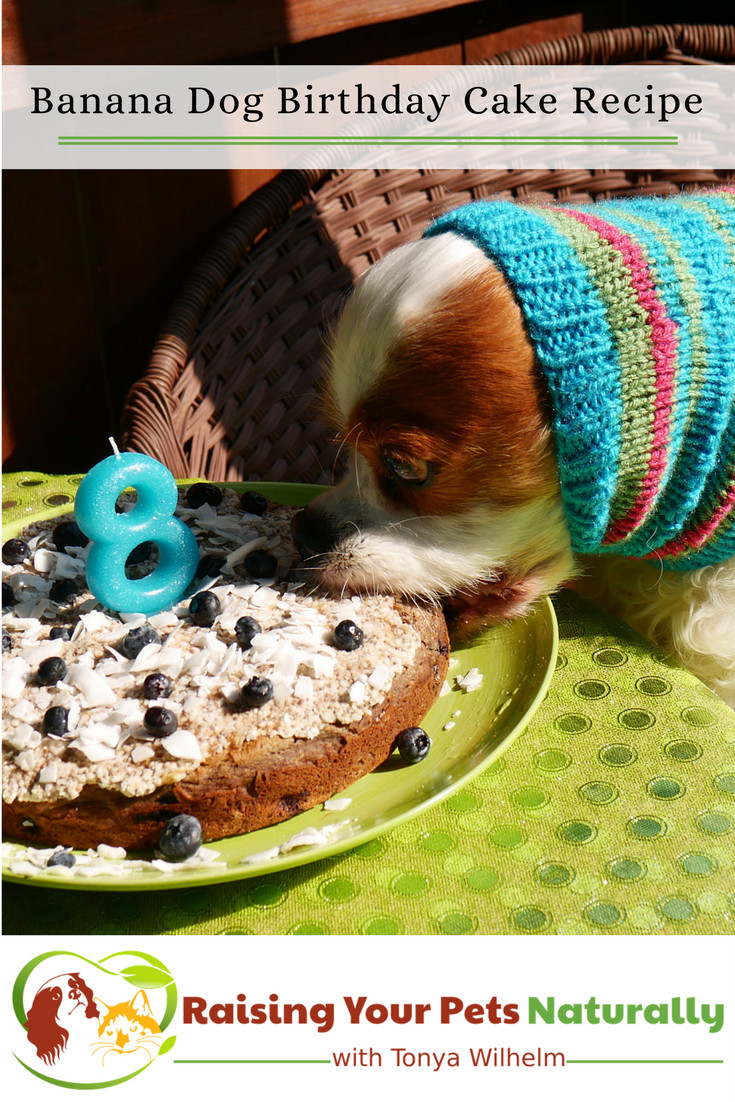 Dog Friendly Birthday Cake
 Dog Birthday Cake Recipes