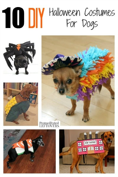 Dog Halloween Costume DIY
 10 DIY Halloween Costumes for Dogs