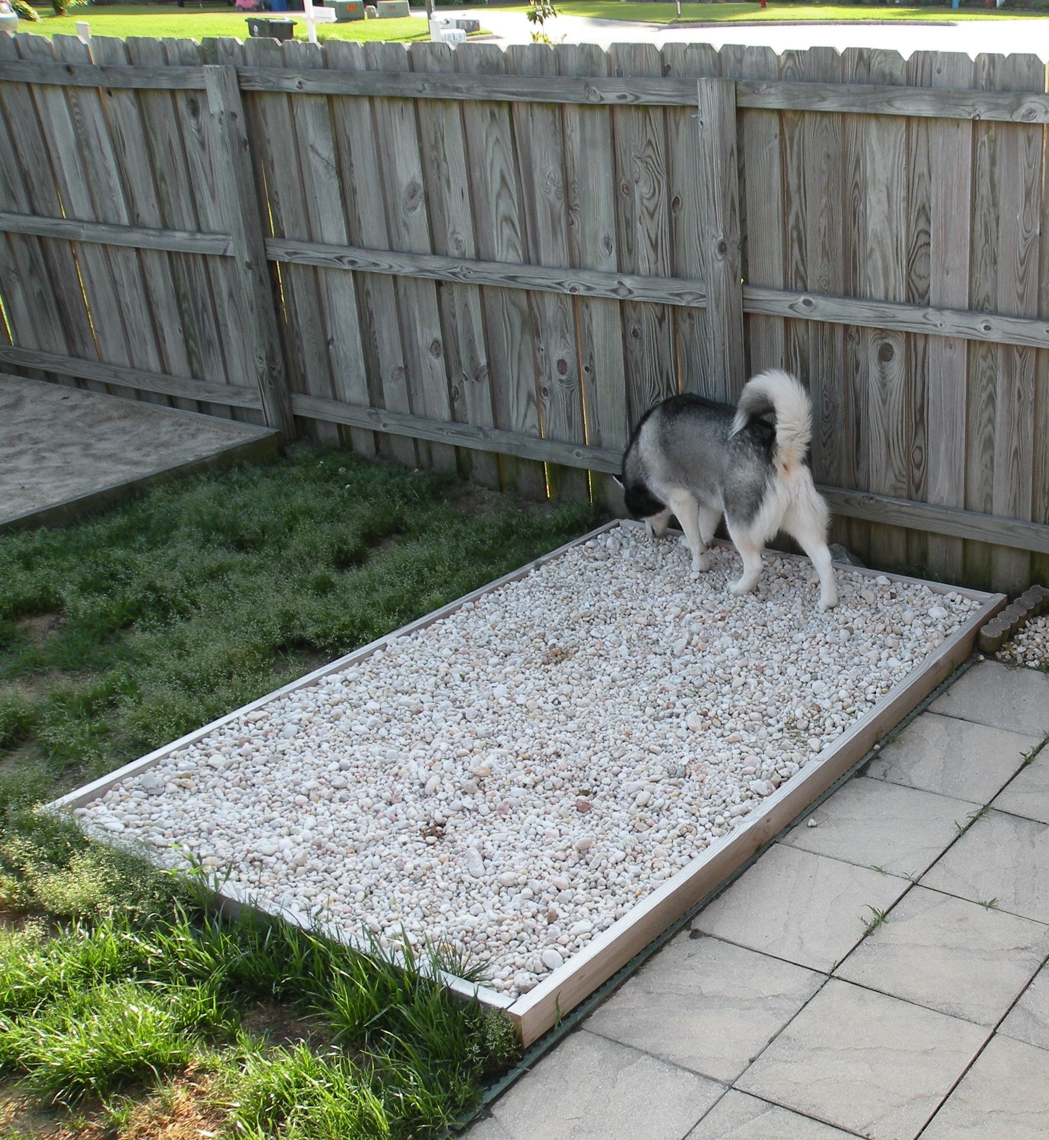 Dog Poop Solutions Backyard
 Outdoor Potty rock area for the dogs Has underground