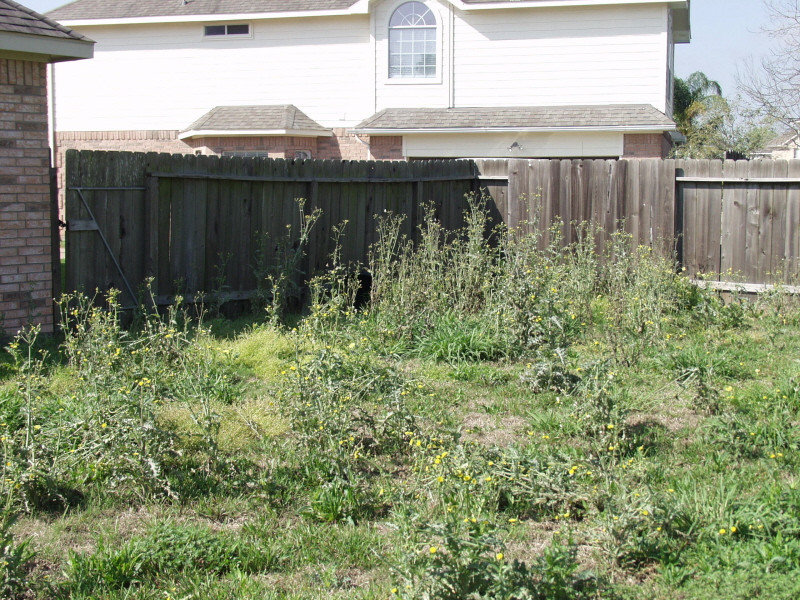 Dog Poop Solutions Backyard
 Training a stubborn dog to poop in a certain place train