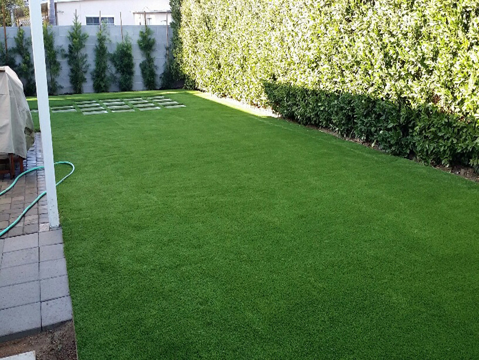 Dog Poop Solutions Backyard
 Turf Patio Backyard Dog Pee Killing Your Grass The