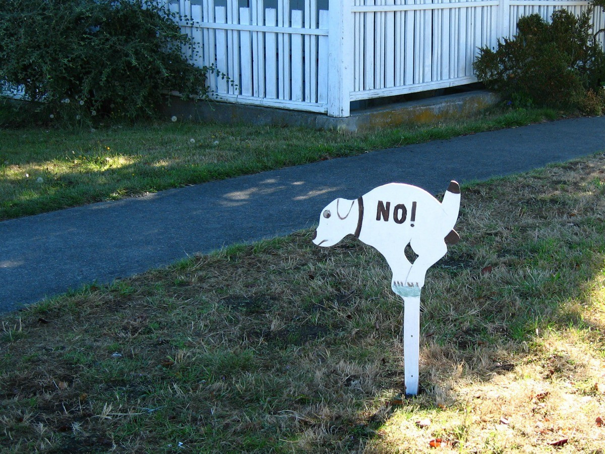 Dog Poop Solutions Backyard
 My Neighbors Are Placing Dog Poop in My Yard