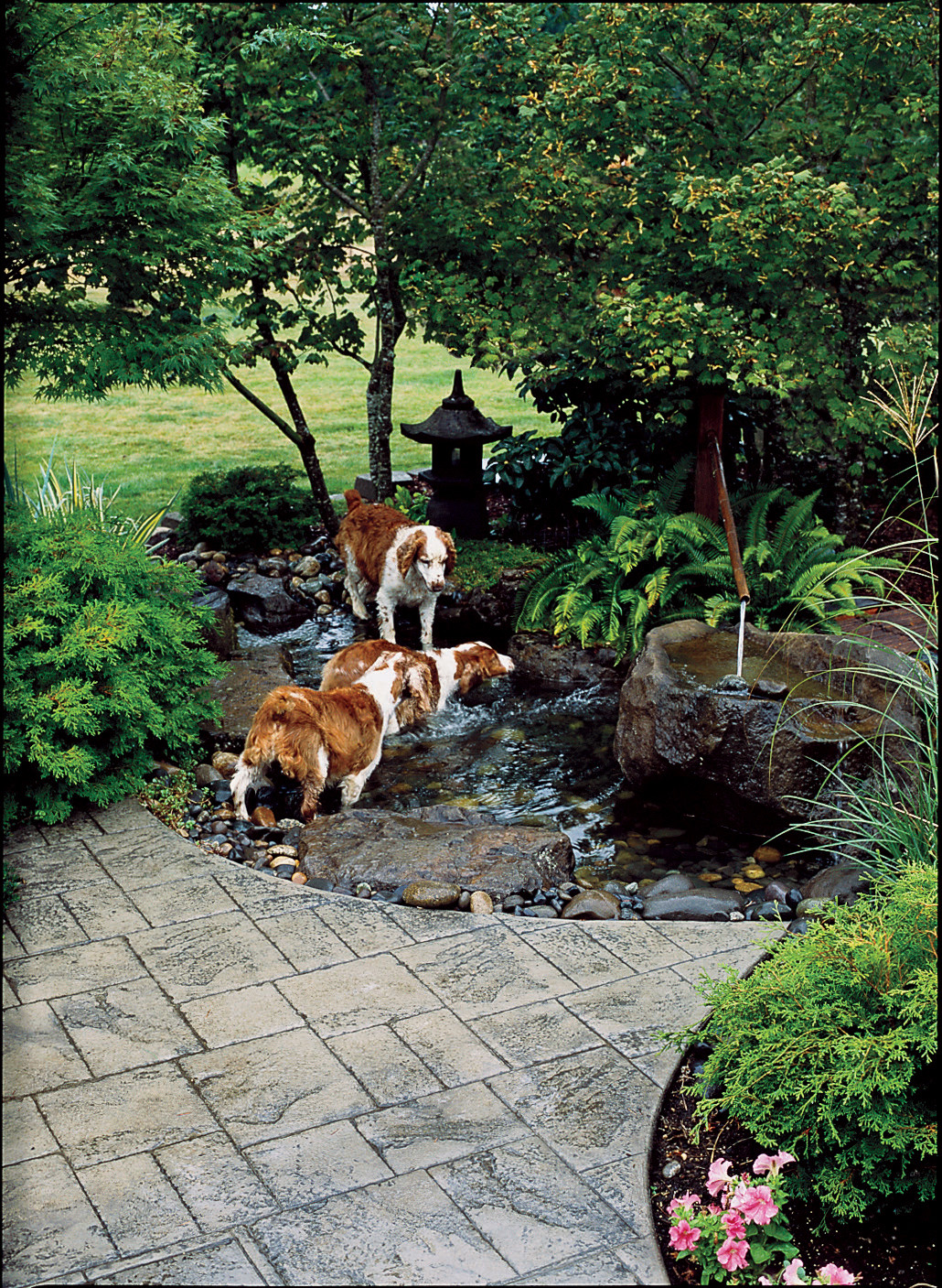 Dog Proof Backyard
 Backyard Ideas for Dogs Sunset Sunset Magazine