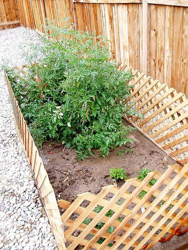 Dog Proof Backyard
 Dog Proof a Garden