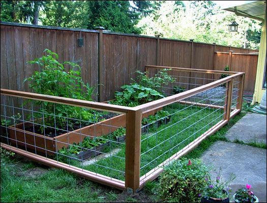 Dog Proof Backyard
 12 best Dog friendly proof gardens images on Pinterest