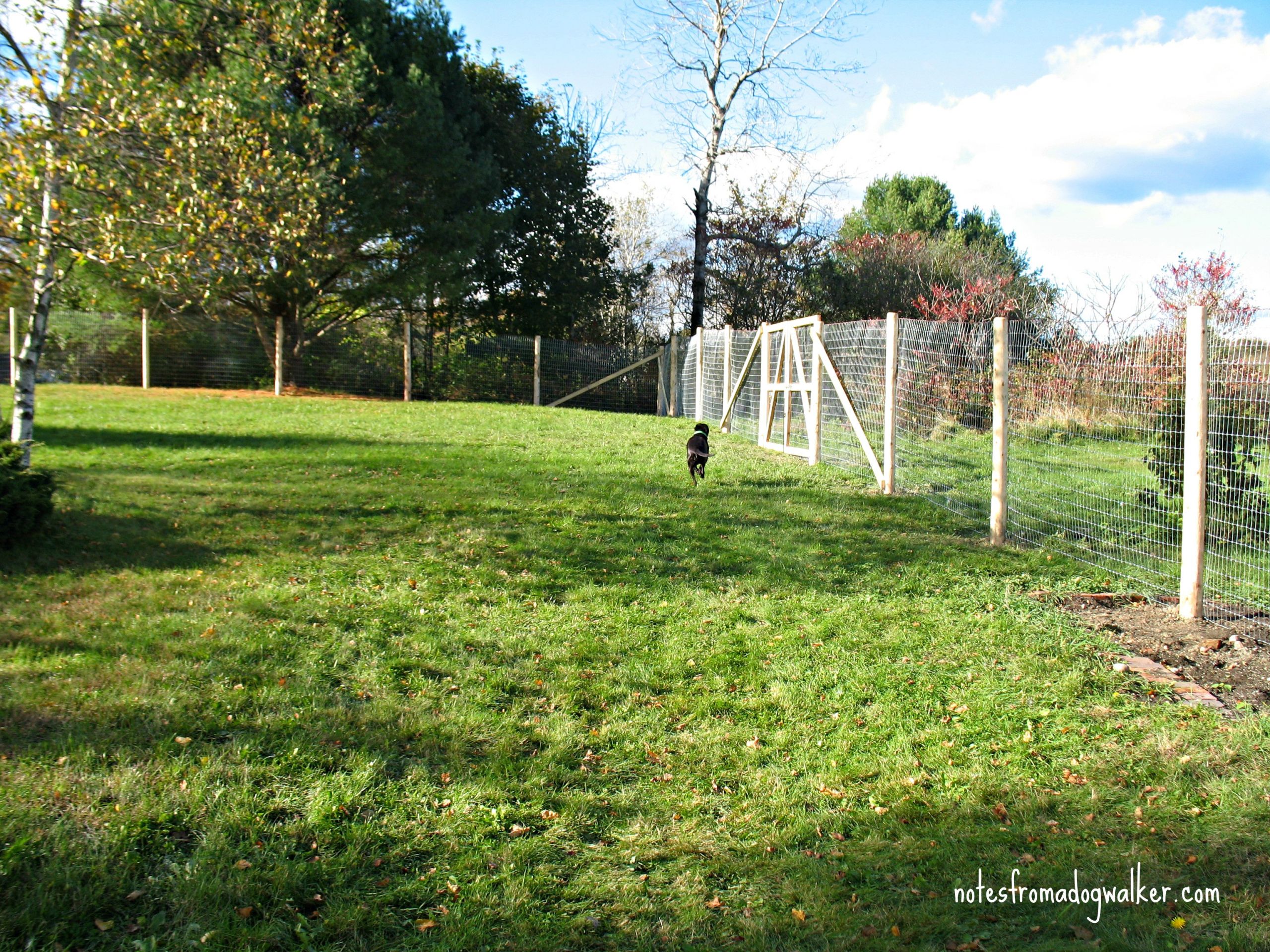 Dog Proof Backyard
 Peace in the Yard 7 Ways To Dog Proof Your Fence