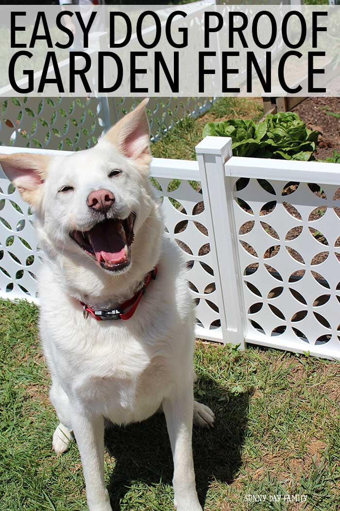 Dog Proof Backyard
 Easy Dog Proof Garden Fence