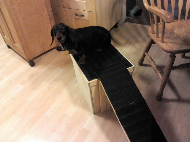 Dog Ramp For Bed DIY
 Dog ramp for bed An IKEA DIY for our little Dachshund