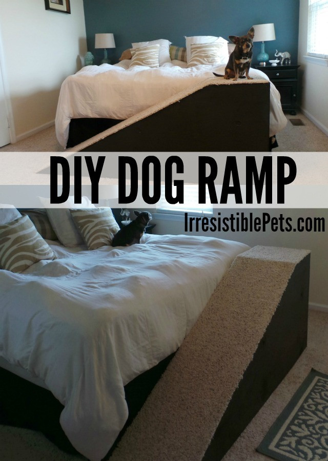 Dog Ramp For Bed DIY
 DIY Dog Ramp Irresistible Pets