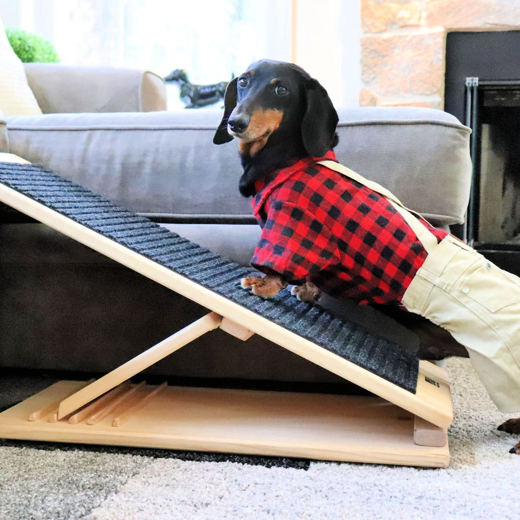Dog Ramp For Bed DIY
 15 Free DIY Dog Ramp Plans For Bed Car Couch Stairs