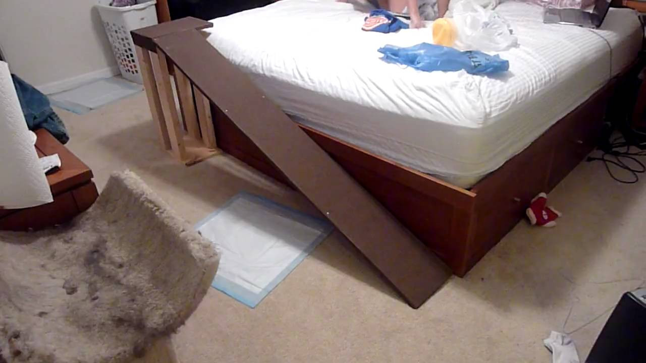 Dog Ramp For Bed DIY
 Design 70 of Diy Dog Ramps For Beds