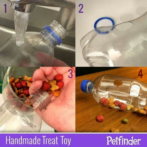 Dog Treat Dispenser DIY
 Diy dog treat dispenser Dogz DIY Pinterest