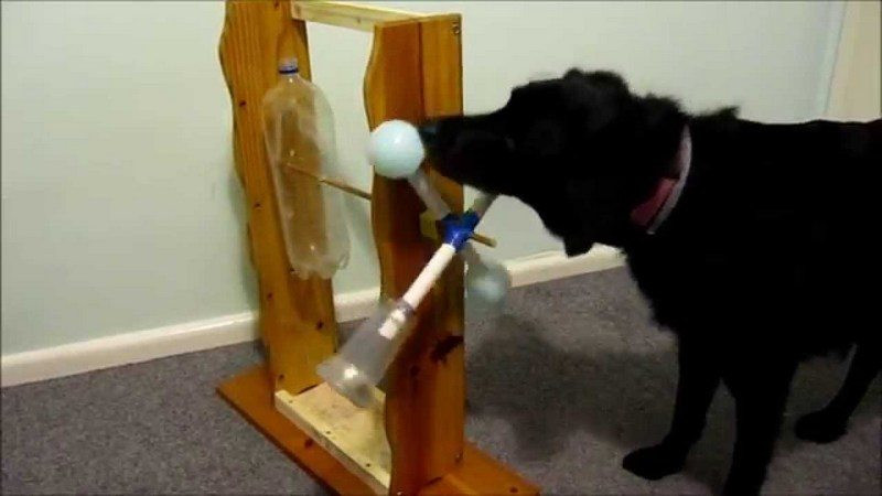 Dog Treat Dispenser DIY
 Spin out dog treat game